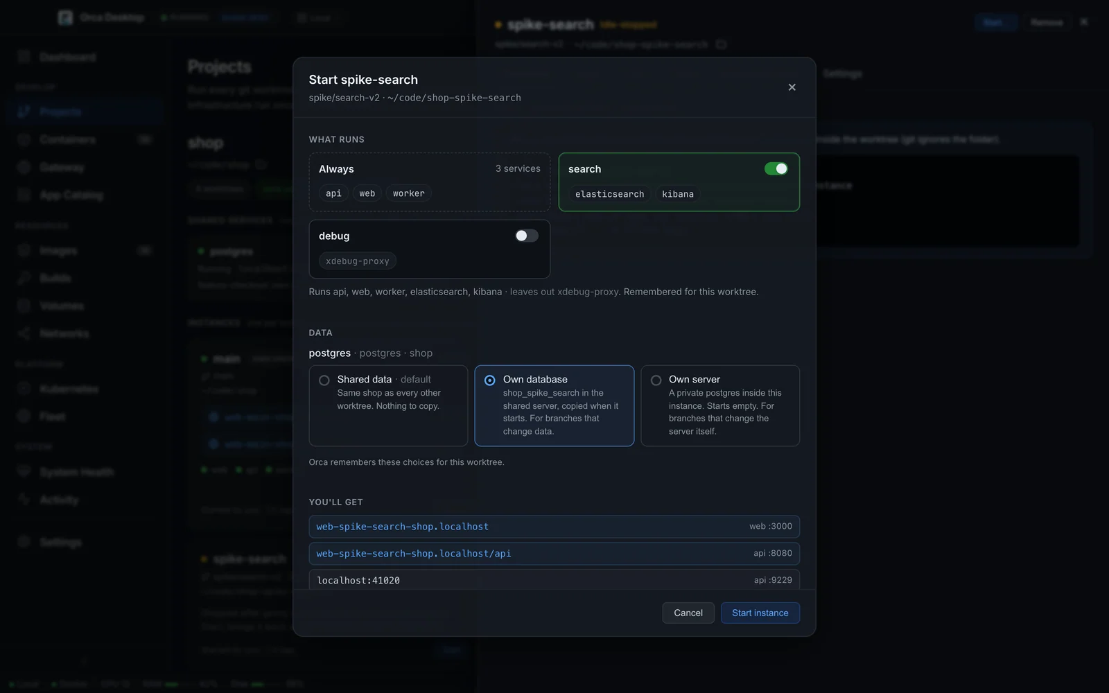 The Start dialog: profiles to run, the data mode for each shared database, and the URLs and ports the instance gets